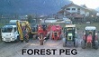 Forest Peg
